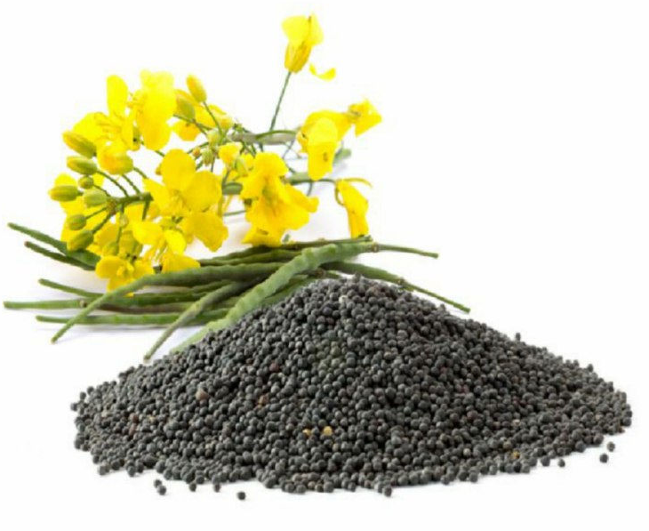 Рапсовое масло